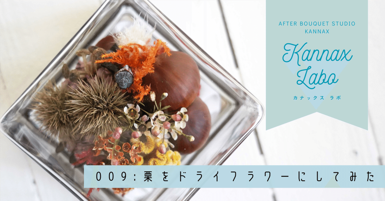 keinoglassティアキャッチャー ドライフラワー入り keinoglass ティア