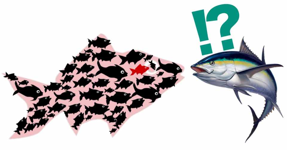 ロイヤリティフリー小魚 いらすとや ロイヤリティフリー小魚 いらすとや