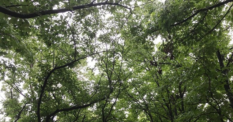 聞く と 聴く と 訊く と 鈴木秀之 Note