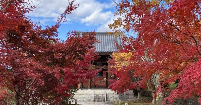 今日の京都の紅葉(智積院)と特別展「東福寺」
