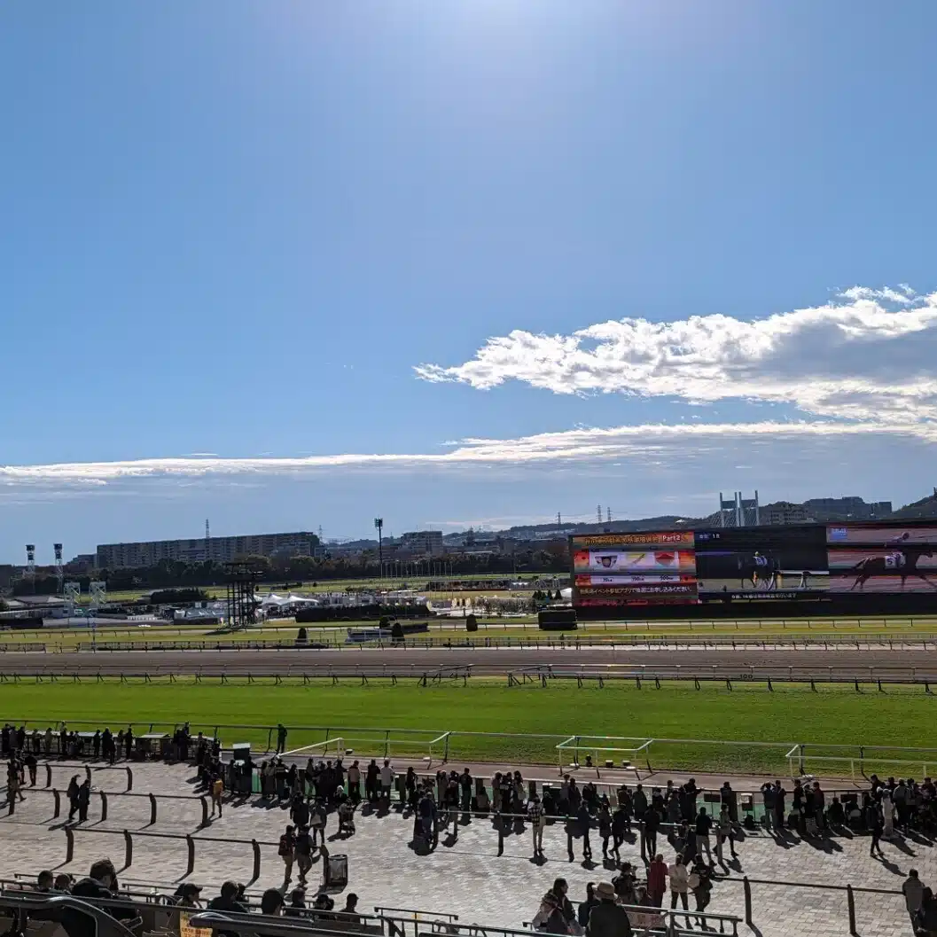 だび競馬予想