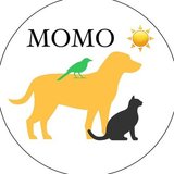 動物と人の豊かな生活🐈Hado Labo MoMo☀SUN