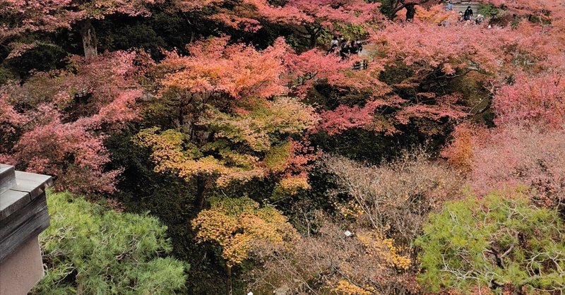 KYOTO　東福寺の紅葉