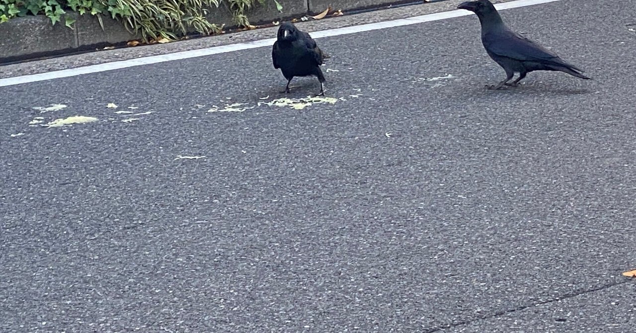 11/30 (木曜日)|Katouyujin(加藤宥仁)のメモ