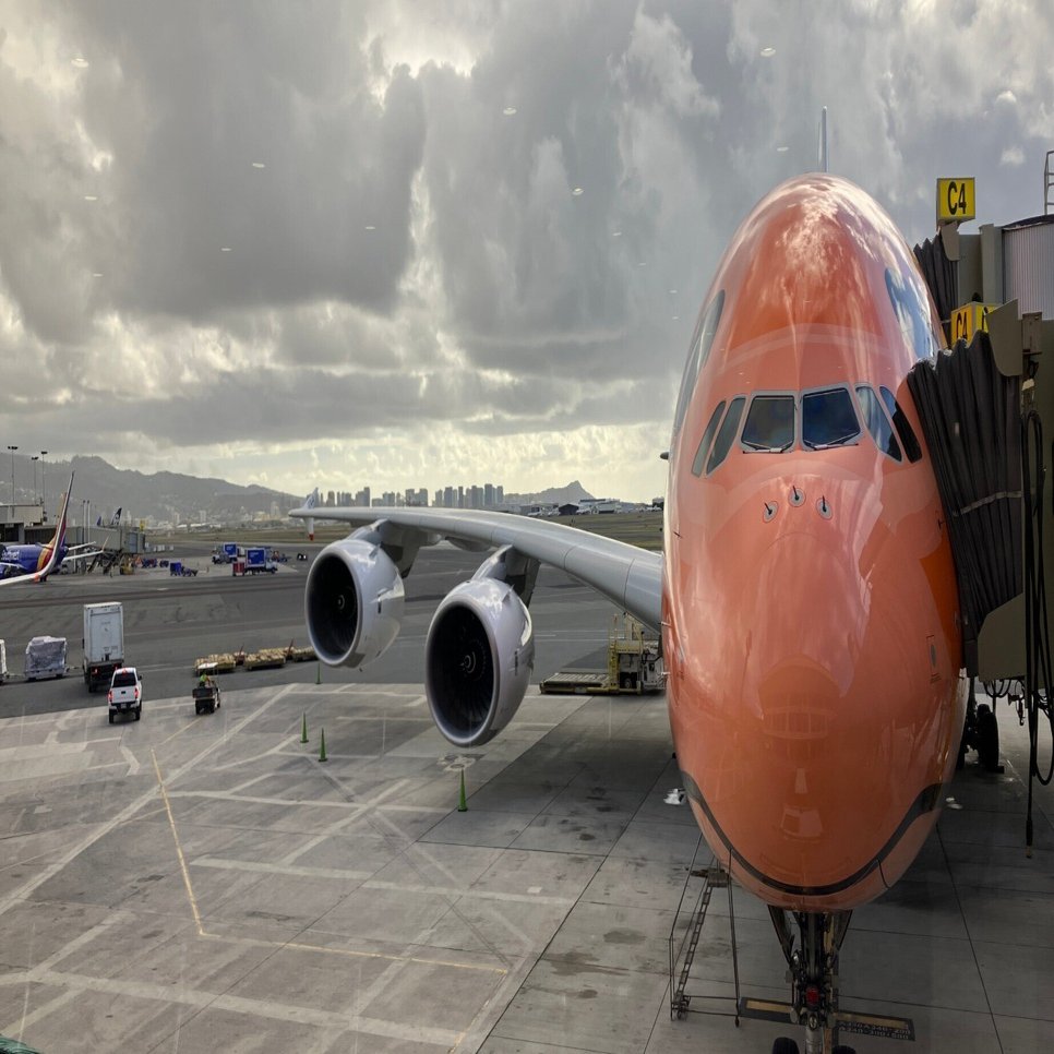 ripiさん専用／ホヌオレンジ 約50cm ANAフライングホヌ三兄弟