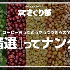 半世紀前に通った喫茶店から豆を取り寄せている理由｜#てさぐり部