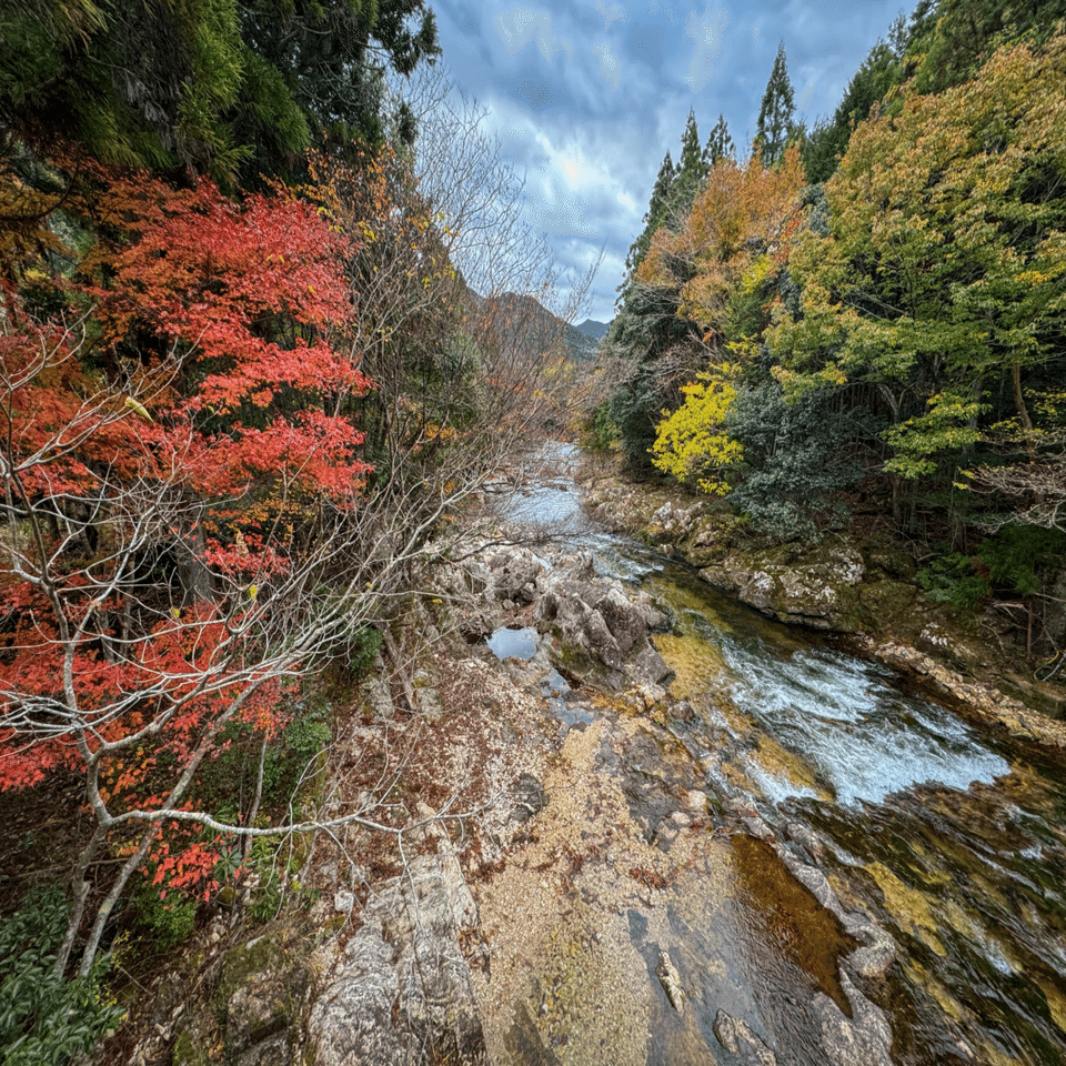 奇岩 Men's Wasatch - Tidepool