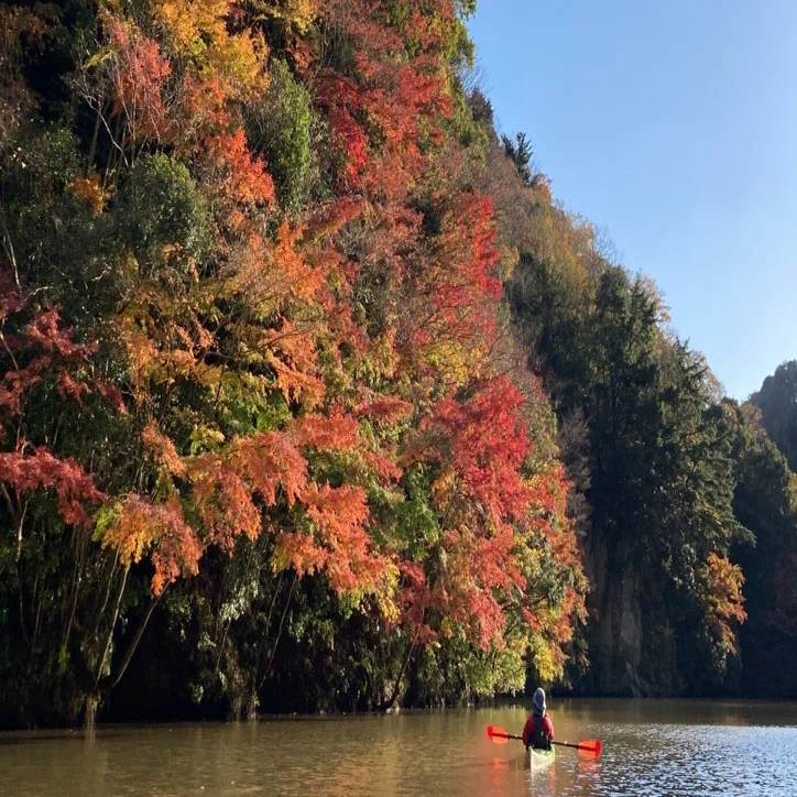 紅葉の千葉 亀山湖。アウトドア気分満点のカヤックで、美しさに息をの 