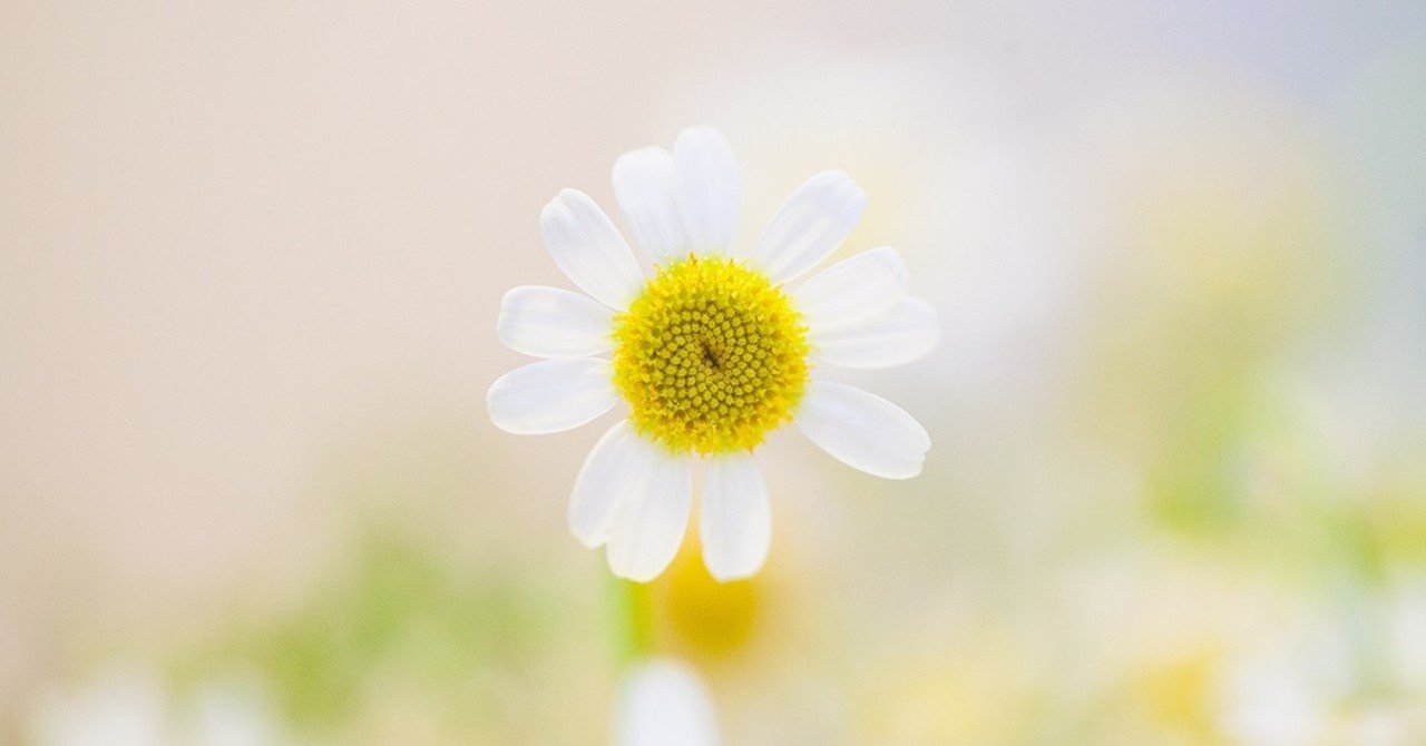 事例5 学童ボランティア 有終の美 じょーじさん Note