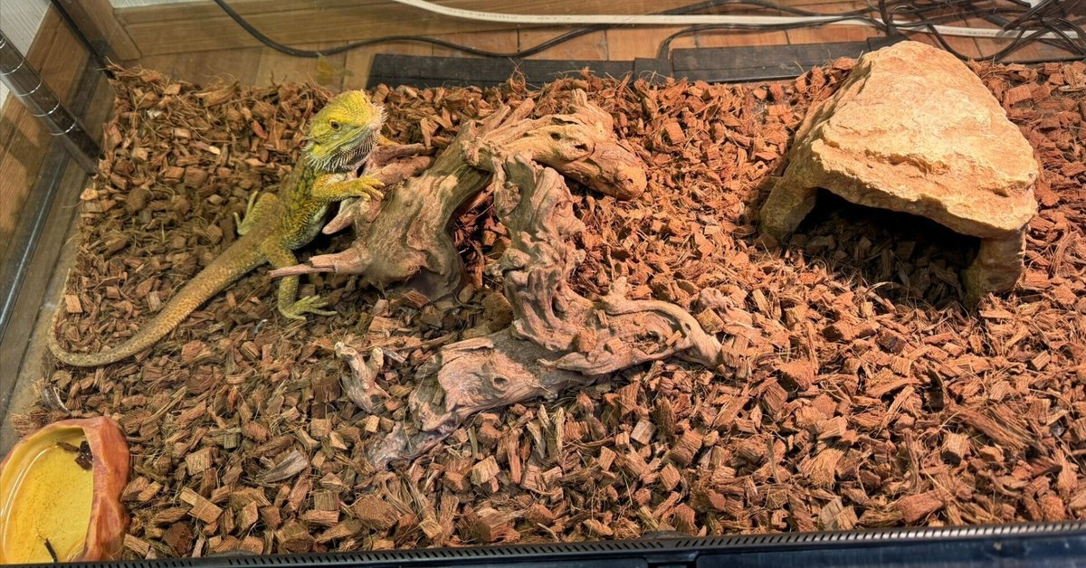 ア*ー様 爬虫類 ケージ バスキングライト フトアゴヒゲトカゲ フトアゴ