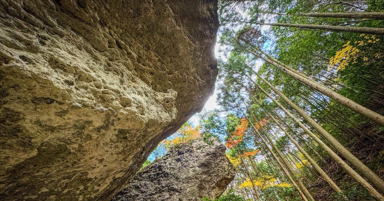 奇岩 ソフトニットメルトンキーネックワンピース≪手洗い可能≫ | VICKY