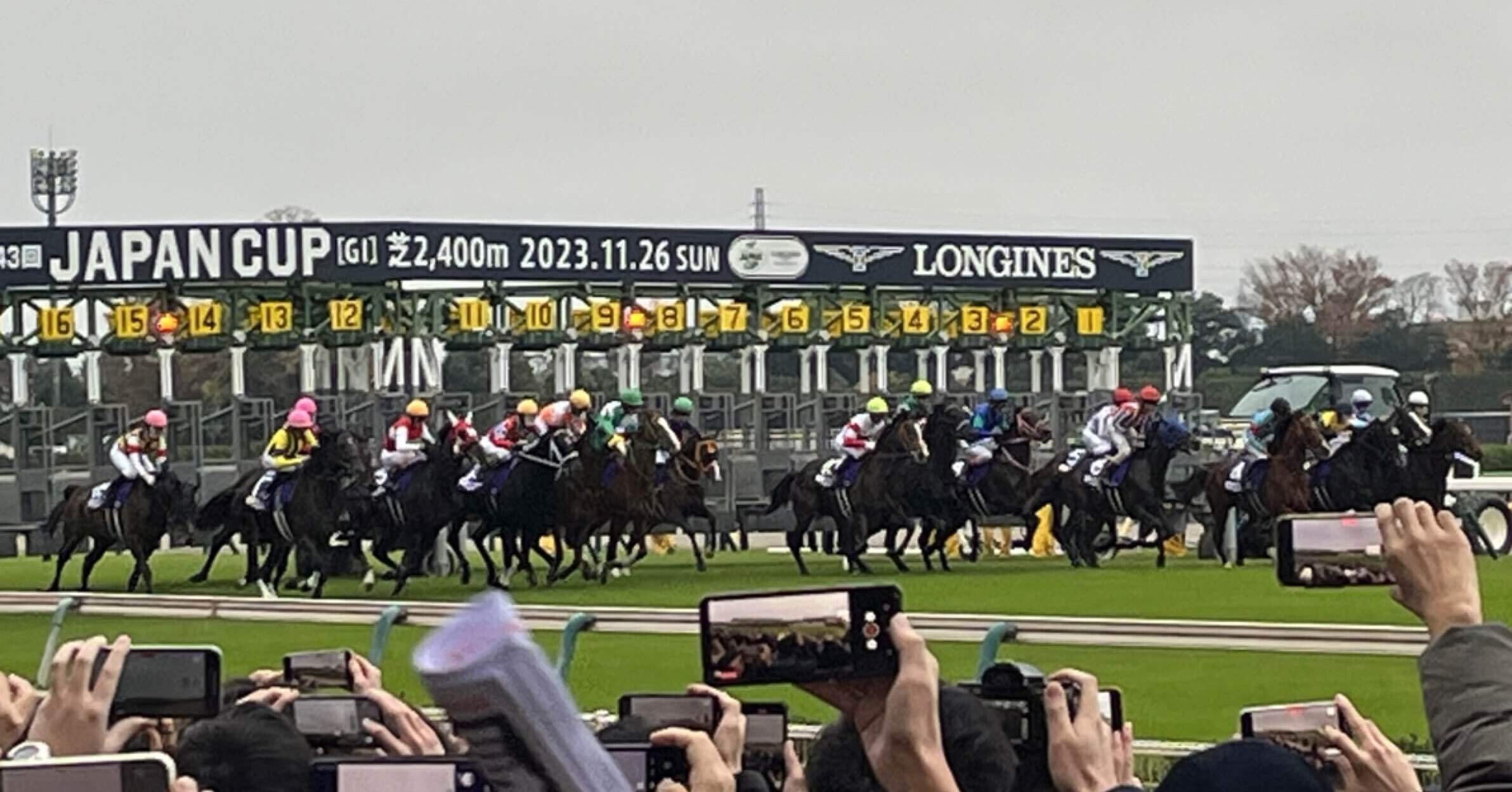 第43回ジャパンカップ観戦記｜ねかうぃさん
