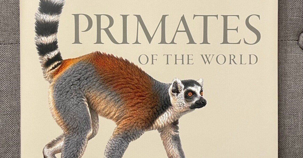 最高のお猿本を手に入れた！！｜あきたはるな