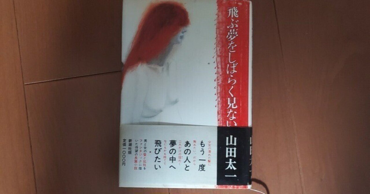 飛ぶ夢をしばらく見ない』山田太一 (著) もちろんテレビドラマも