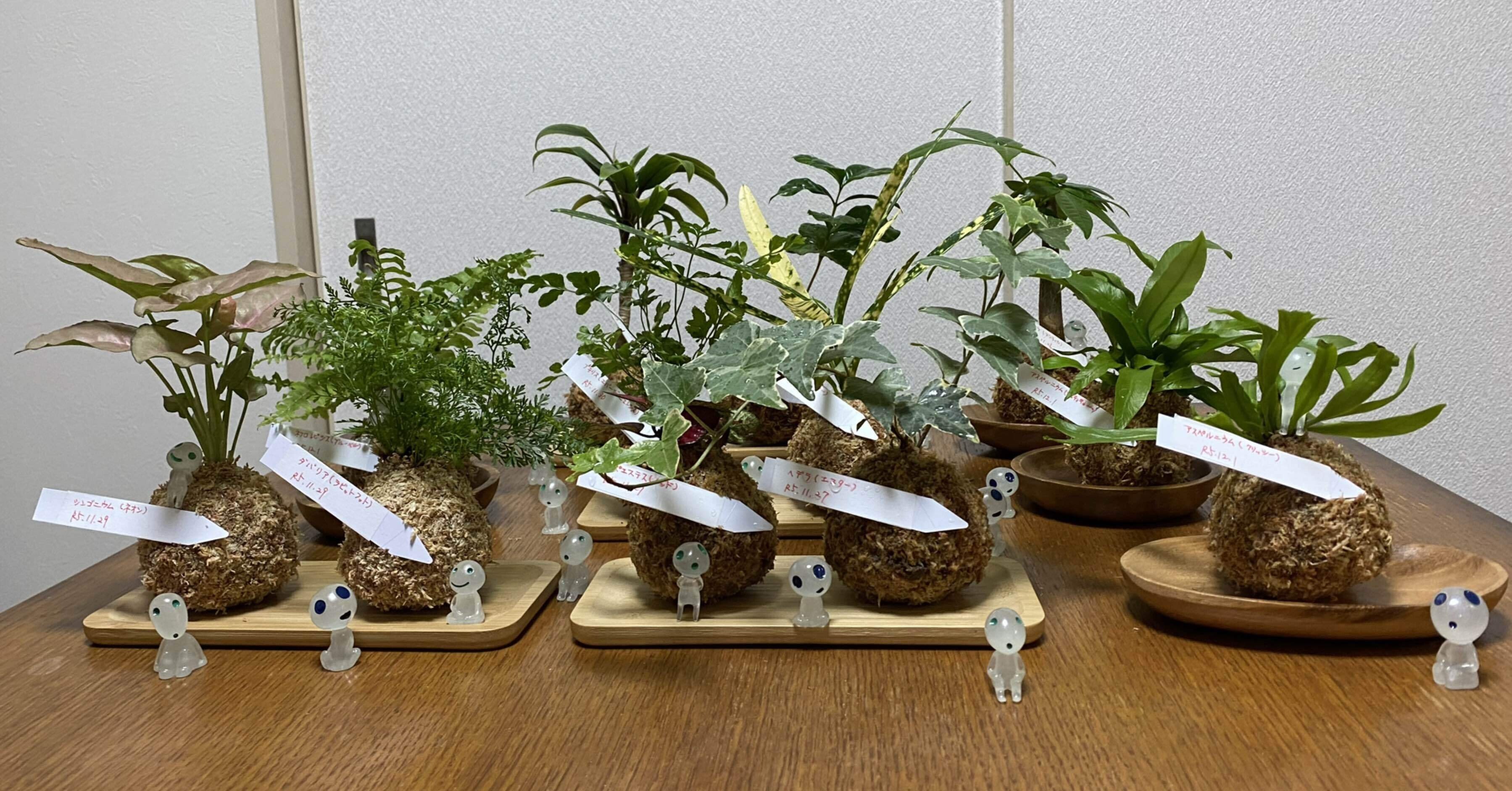 c2366cb28d7e8476c558a2c5c22678