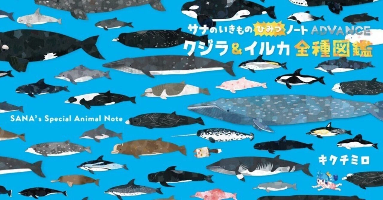 クジラ&イルカ全種図鑑」とコミティア参加｜キクチミロ