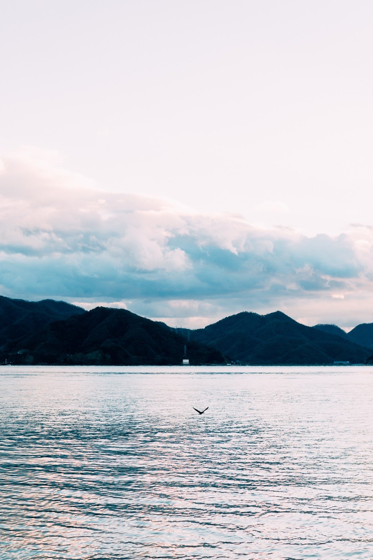 向島が好き過ぎて移住した男による 向島大満喫プラン 1泊編 羽田裕明 Nagi店主 Note