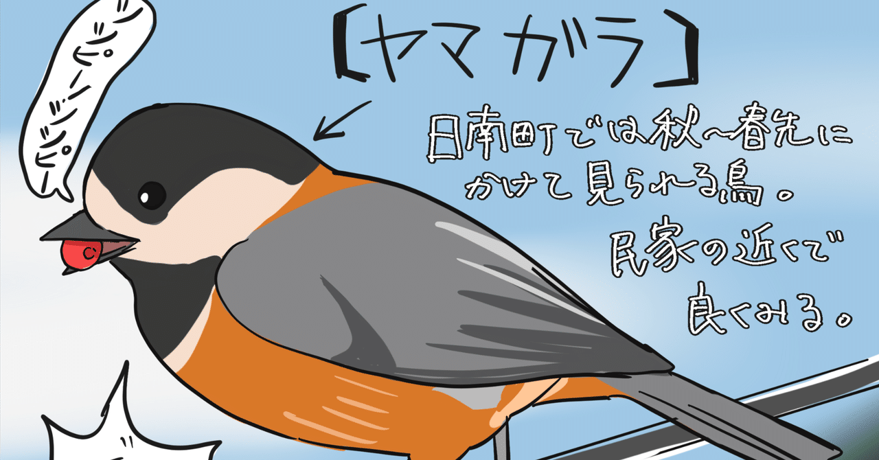 rectangle_large_type_2_d8e2560