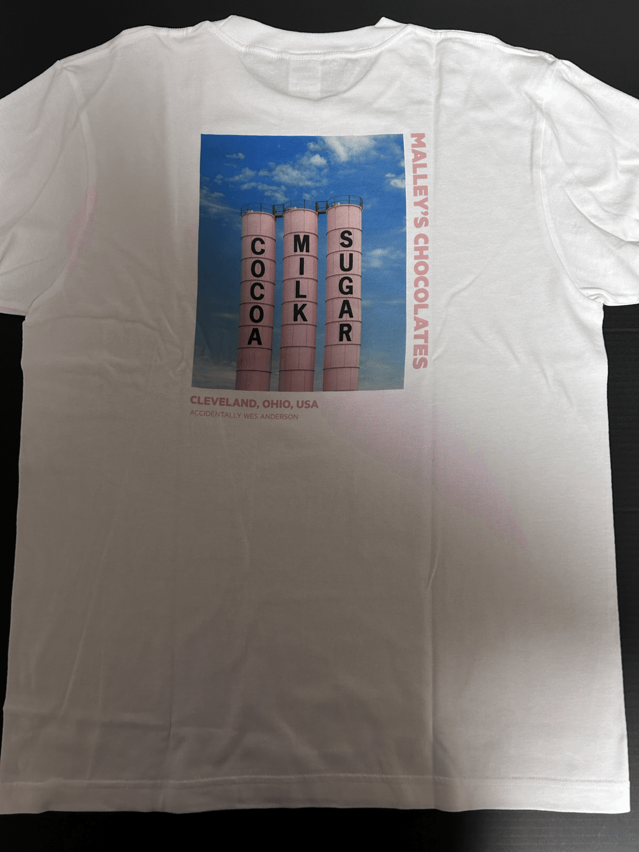 TheF映画「フレンチ・ディスパッチ」 Tシャツ M / ウェス