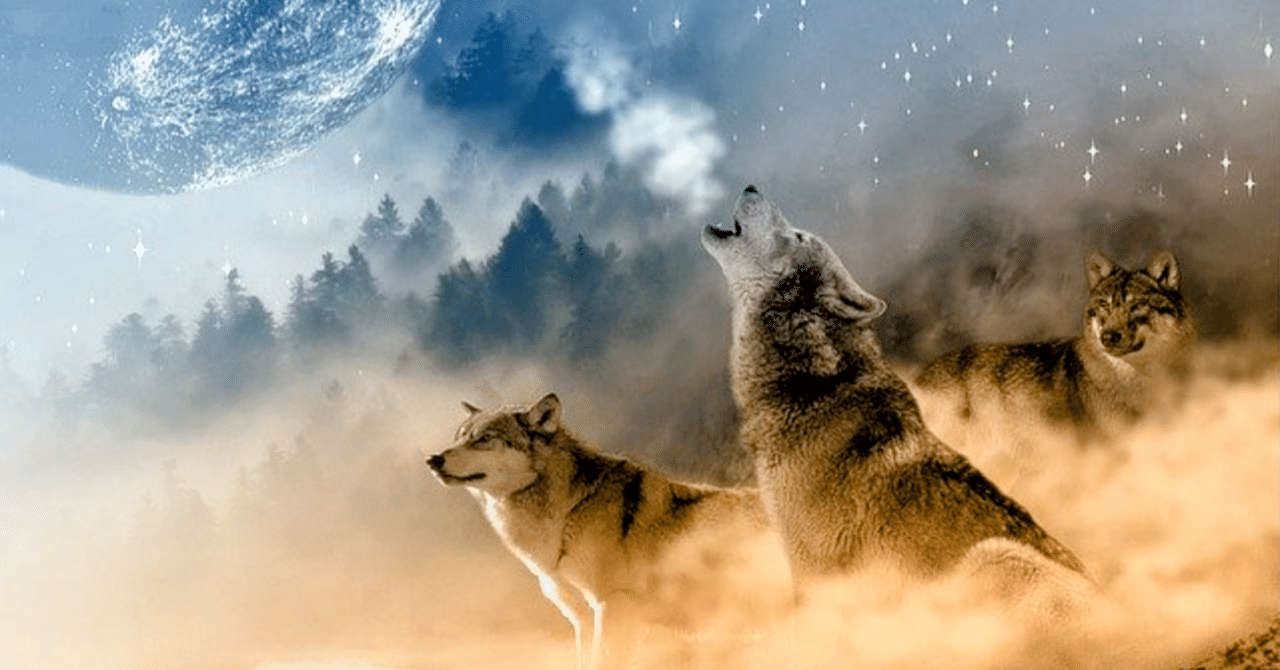 オオカミの遠吠えと人間の物狂おし｜池淵竜太郎RyutaroIkebuchi