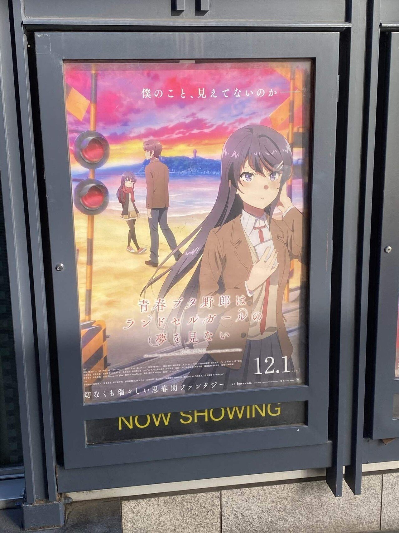 非売品］青春ブタ野郎はゆめみる少女の夢を見ない 販促ポスター 青春