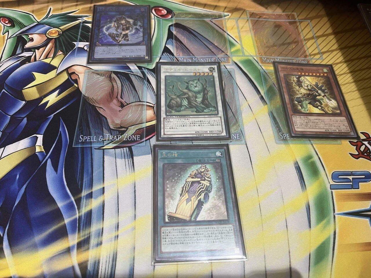 遊戯王　ナチュルホルス　デッキ　ガチ構築　赤き竜　バロネス　うらら　無限泡影 即日発送！大会用【ナチュルホルス】デッキ 遊戯王 ホルスの栄光