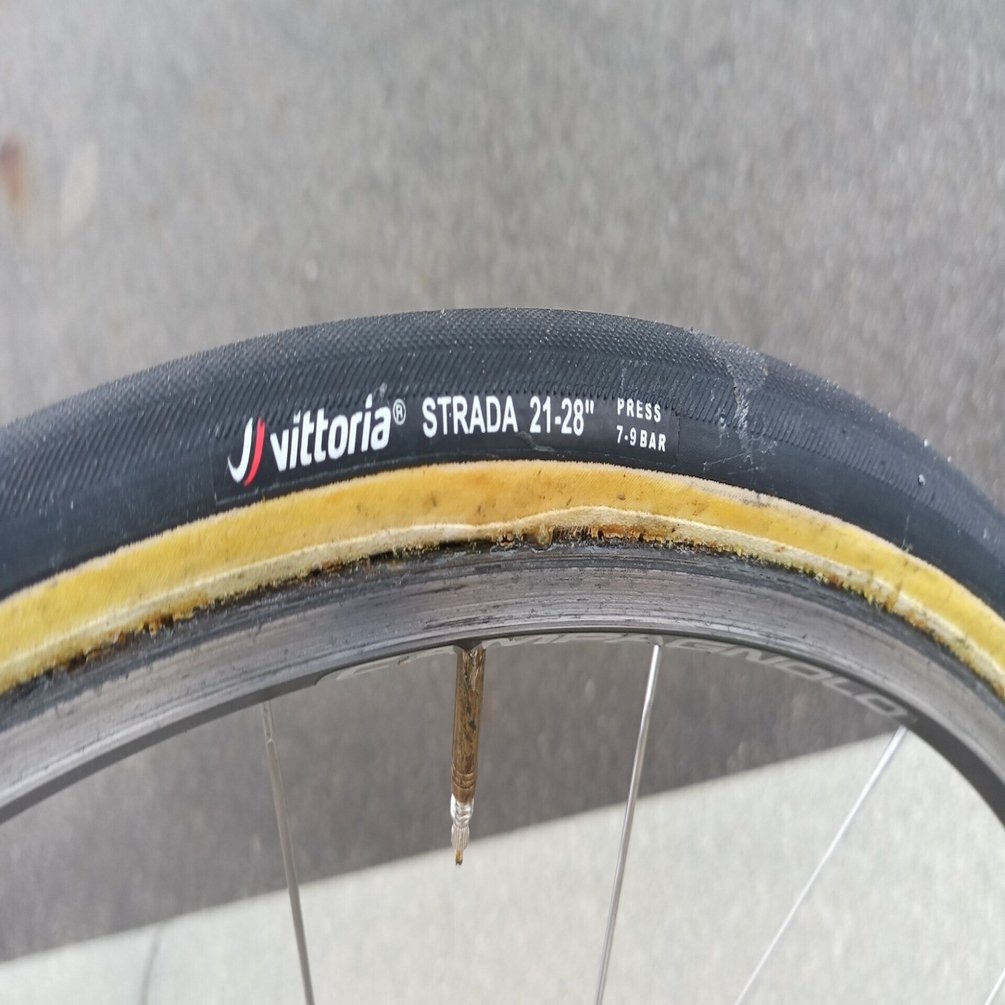 ロードバイク： 高級なクリンチャーと廉価なチューブラーはどちらが