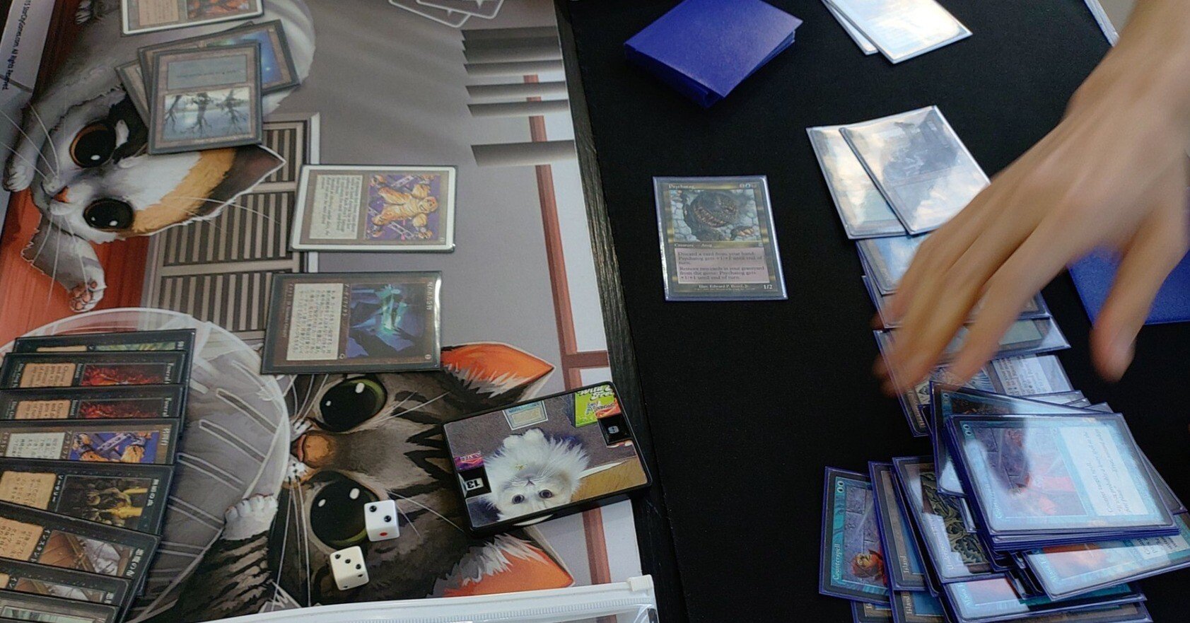 MTGミドルスクールデッキ【青単アグロ】 ミドルスクールデッキ構築（スレッショルド）｜saitomu