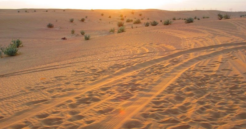 映画感想 実写 アラジン に残るモヤモヤ感とリメイクの難しさ 夏野かおる フリーランスライター Note