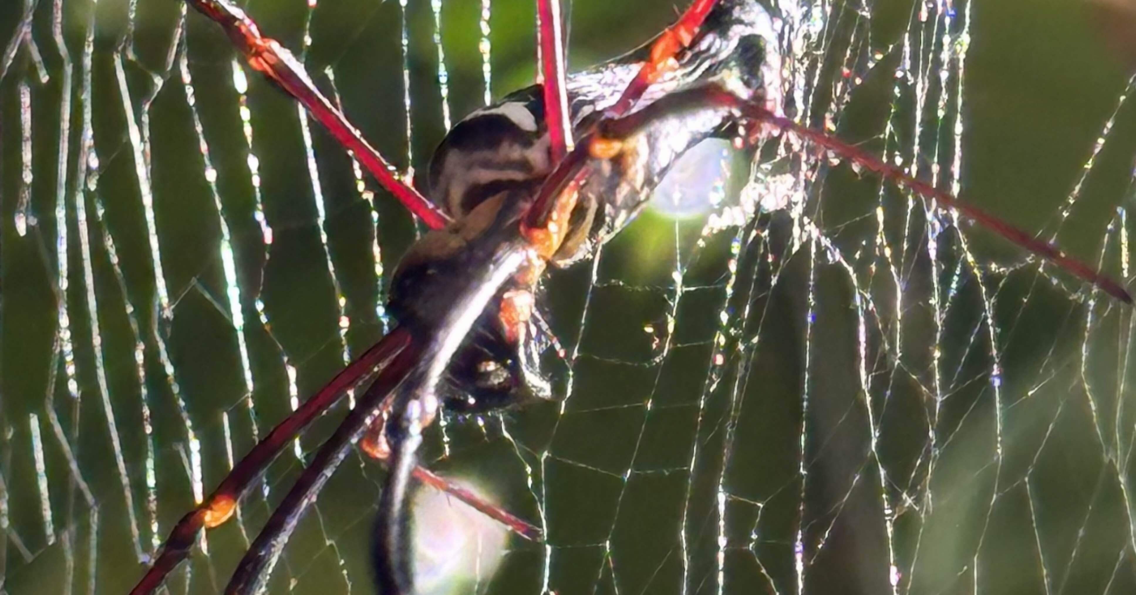 9e48572b4c1958d6e3fff2e87208fd