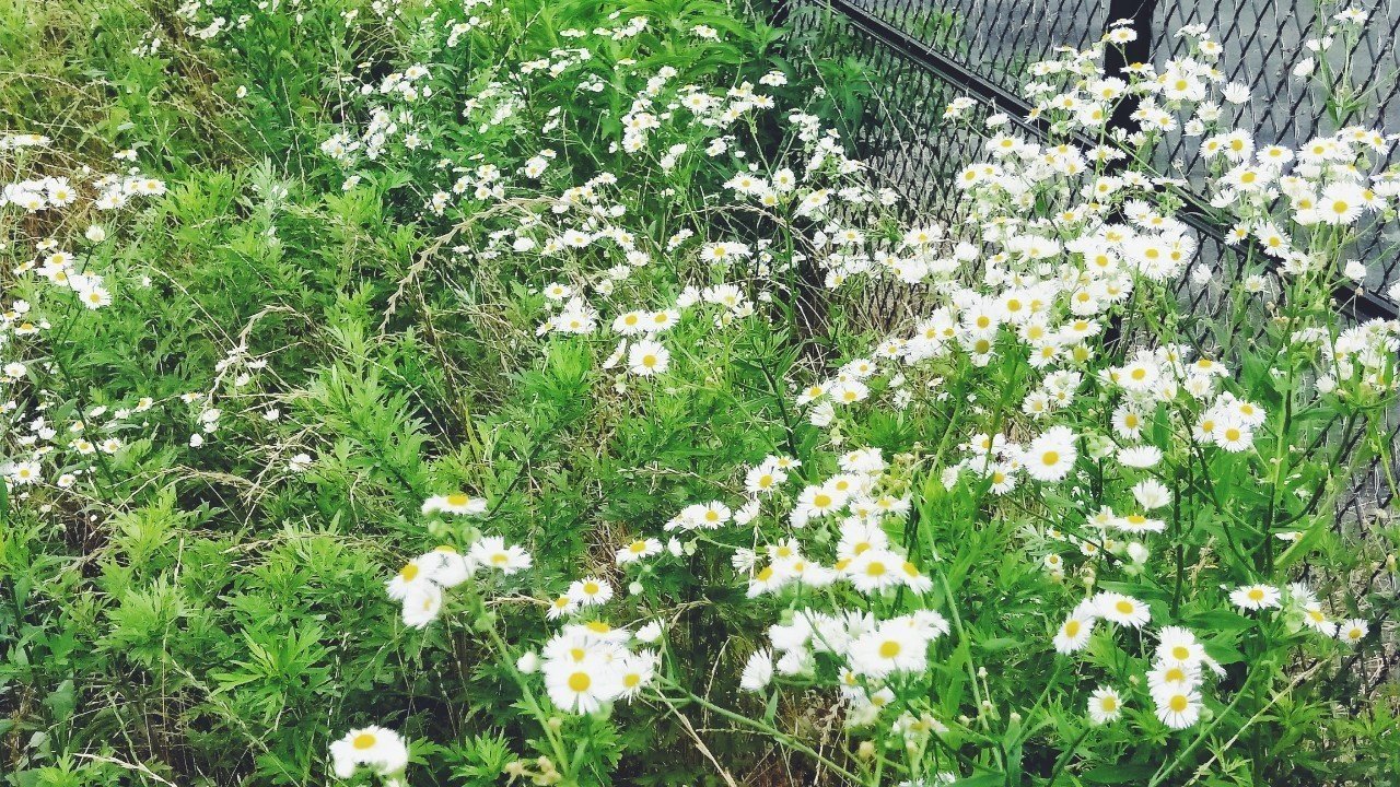 歩いているだけで楽しいひとたち Illy 入谷 聡 Note 歩いているだけで楽しいひとたち Illy 入谷 聡 Note