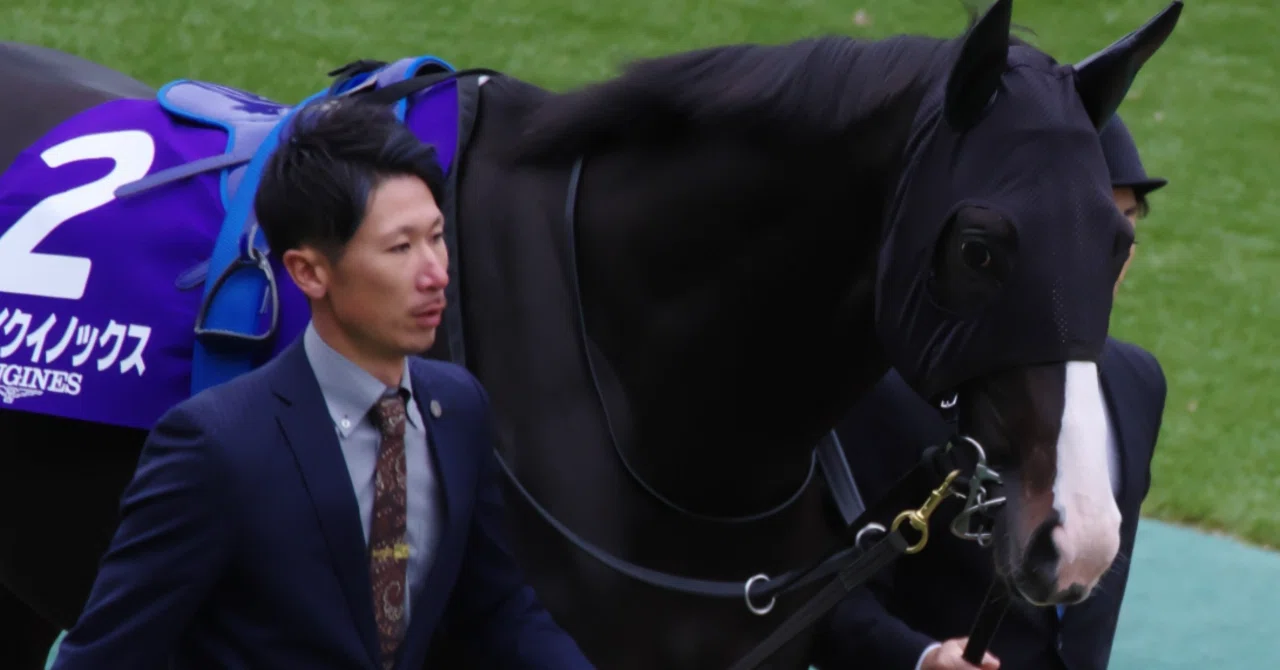 競馬好きが語る】イクイノックス引退までの軌跡（前半）｜態度ブラック