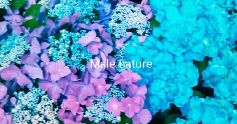 Male nature