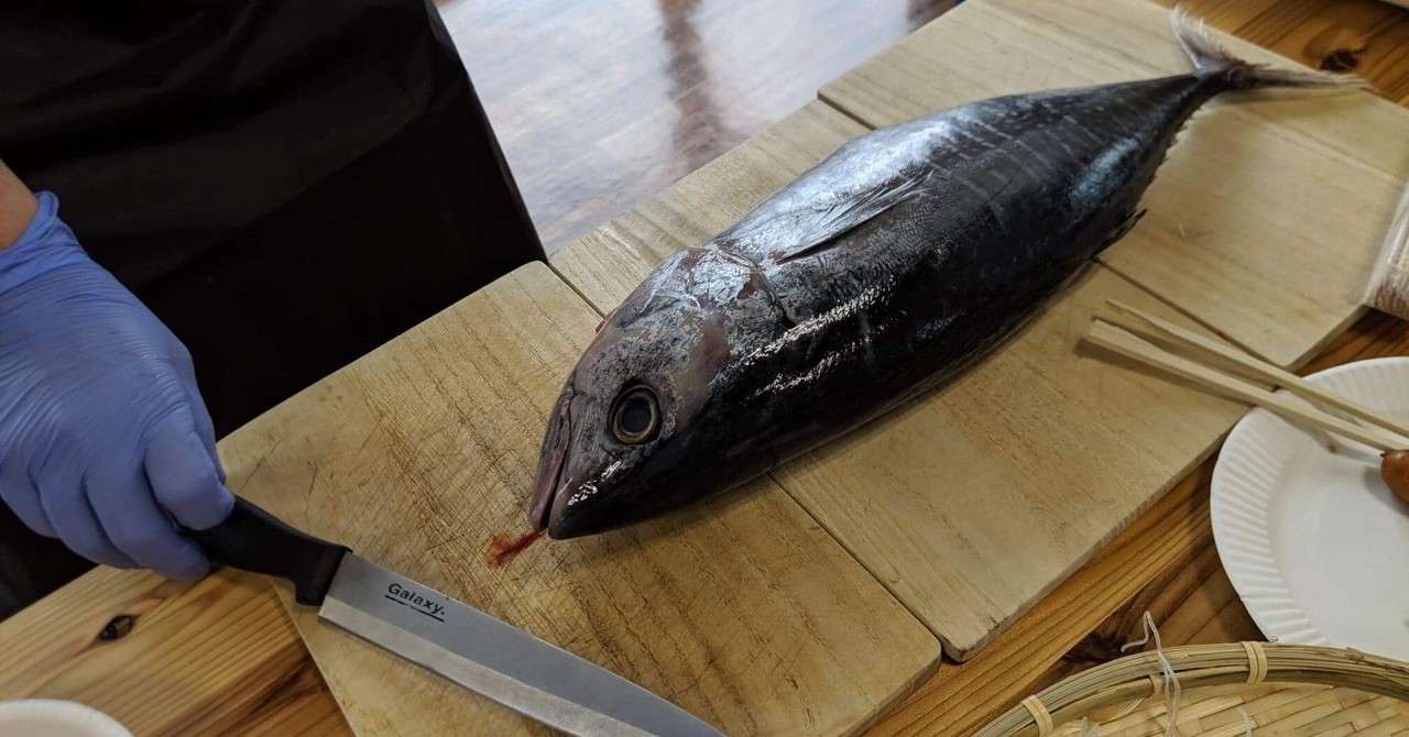 オクト君のやさしい魚のさばき方教室 番外編 リトル マグロ 解体ショー 約2時間でサカナがさばけられる 料理教室主宰サカナサバキスト オクトくん Note