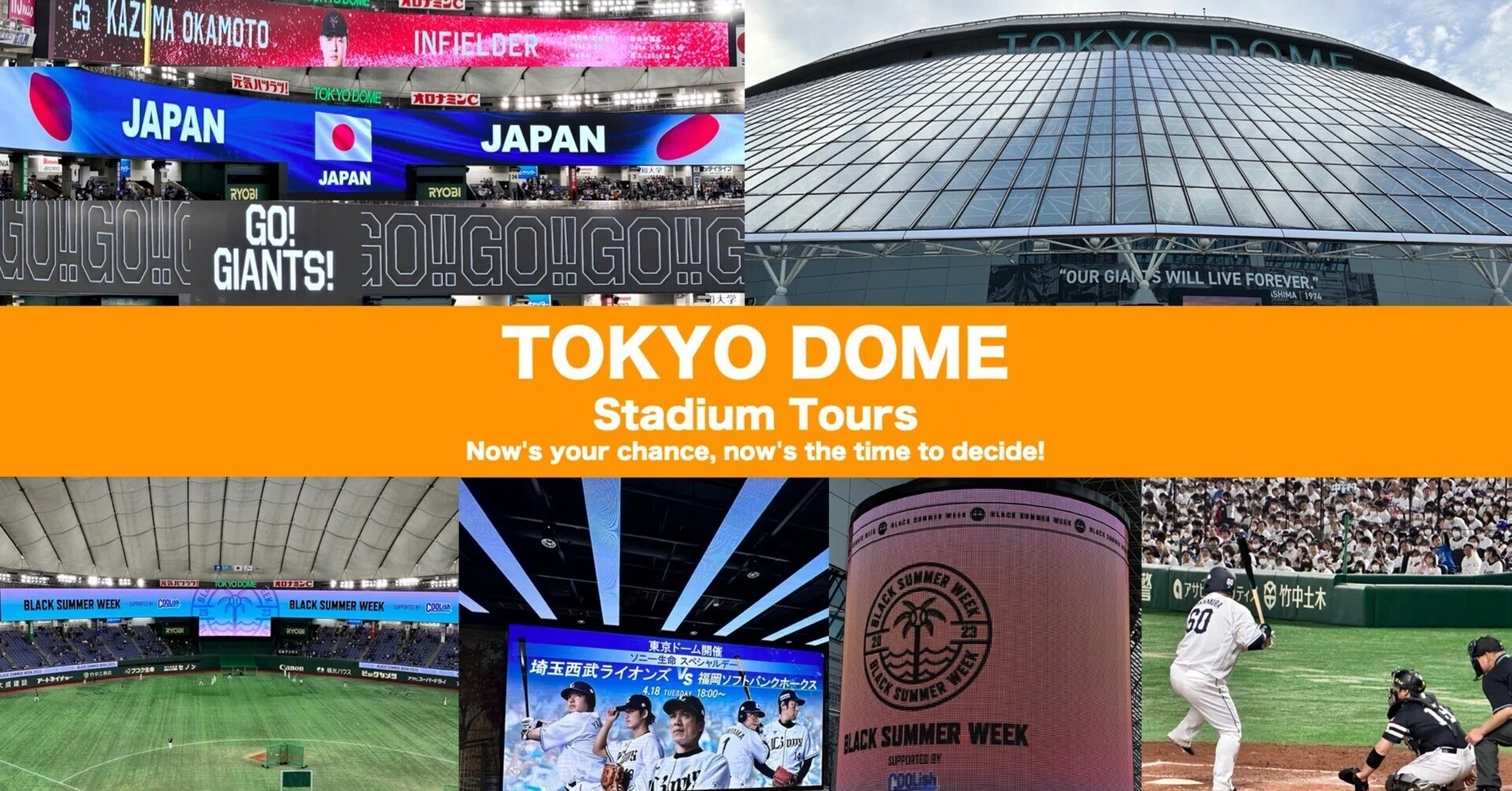 エキサイトシート1塁巨人6月4日ロッテチケット野球東京ドーム 6/18（