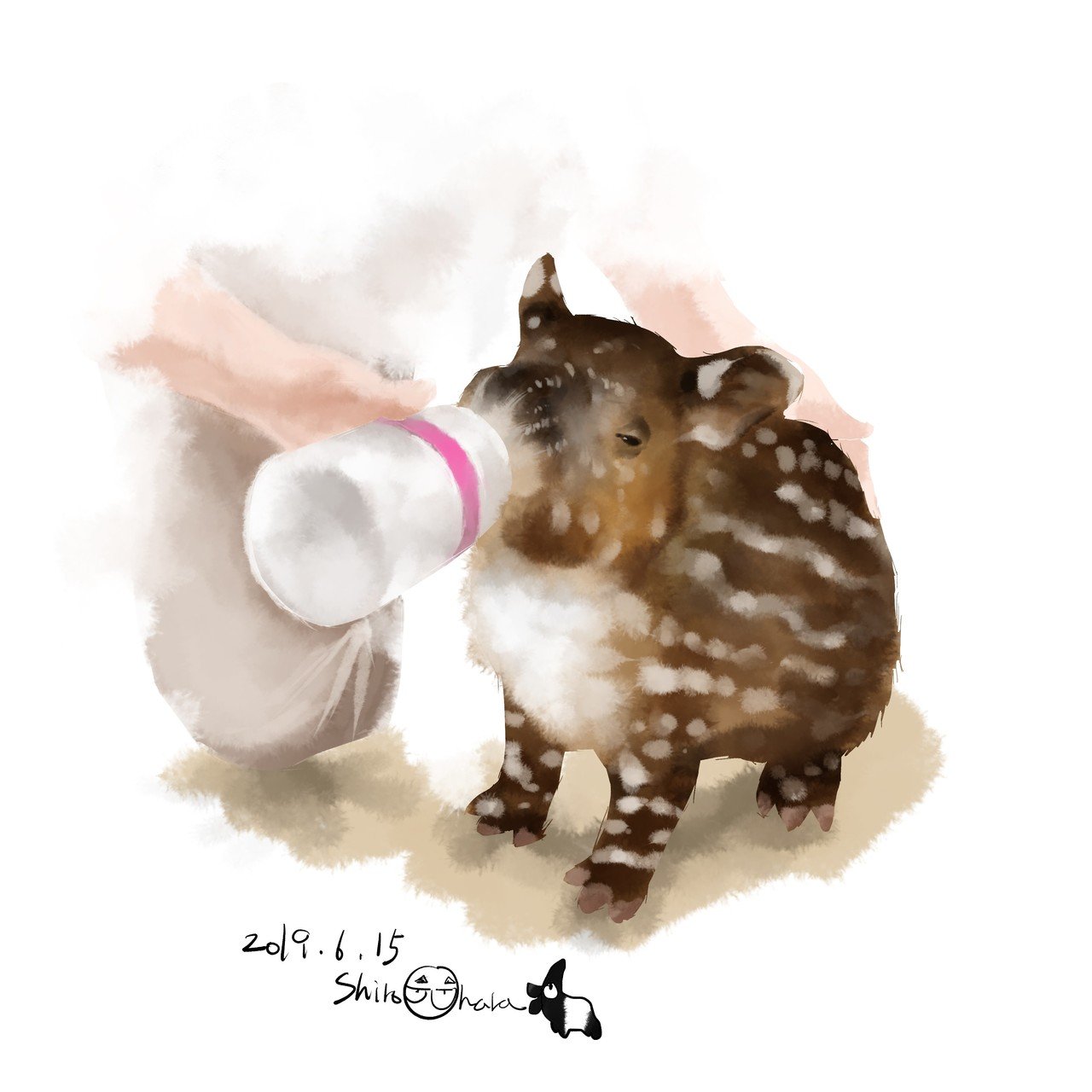 Animals 動物たちのイラスト 大原 司朗 Note