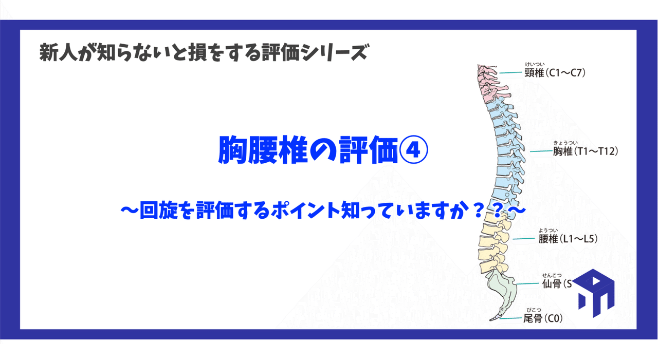 胸腰椎の評価④｜加藤淳