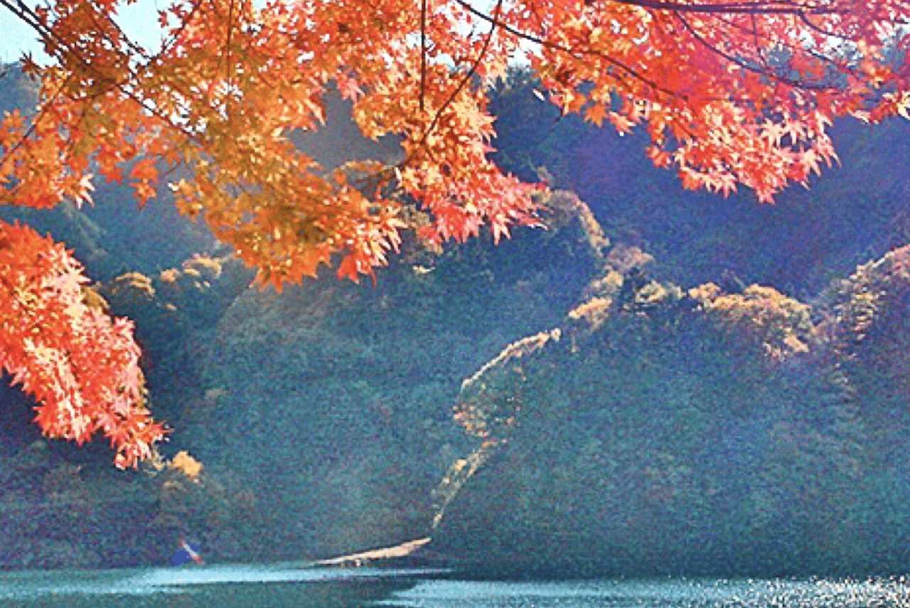 宮ヶ瀬湖 P 神奈川県愛甲郡清川村 take care of nature Have a nice day today|yujinpal