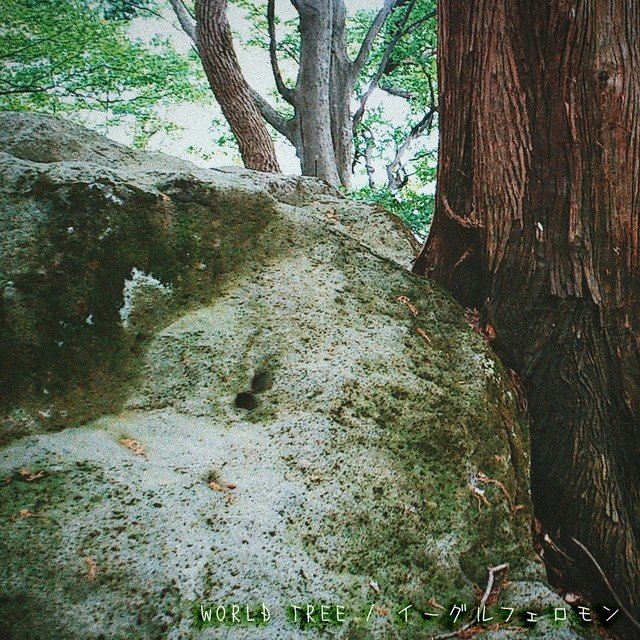 画像1