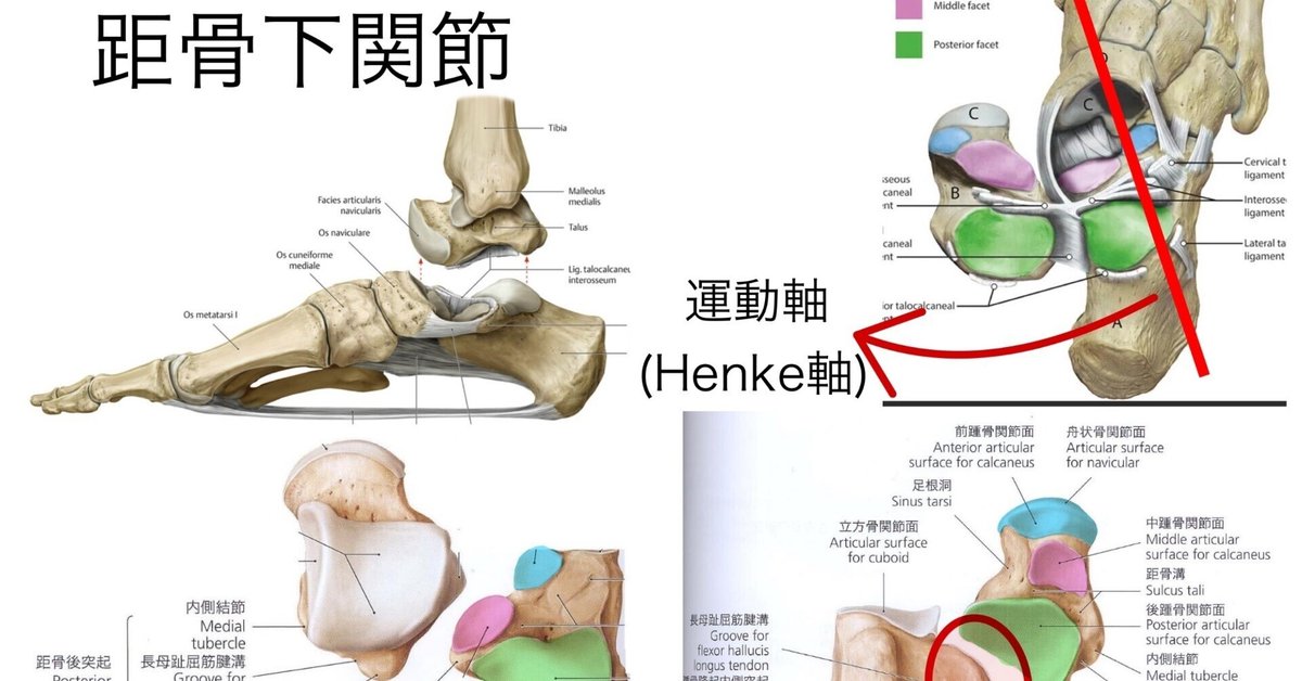 足部・足関節の評価と治療 足部・足関節の評価と治療 - YouTube