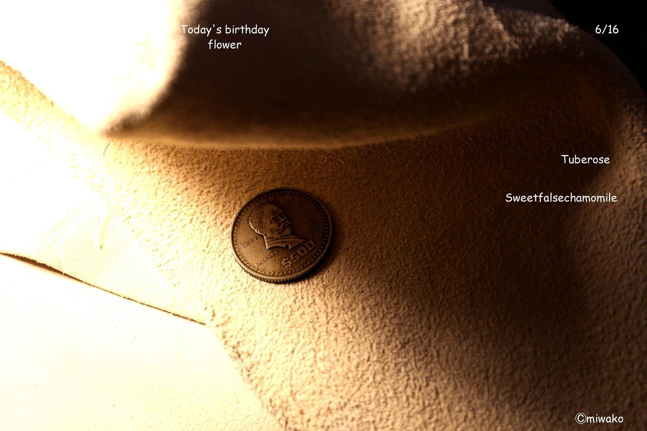 誕生花6 16 Miwako Note