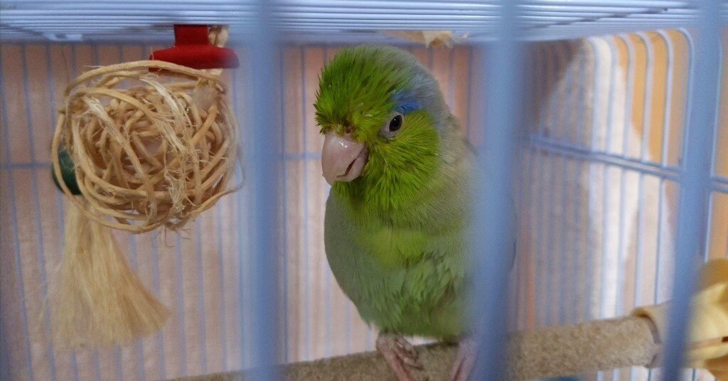 メルリ様　ご相談 サポート｜ソリマチ株式会社