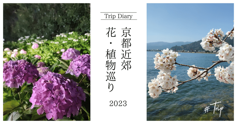 京都近郊　花・植物巡り　2023年のまとめ