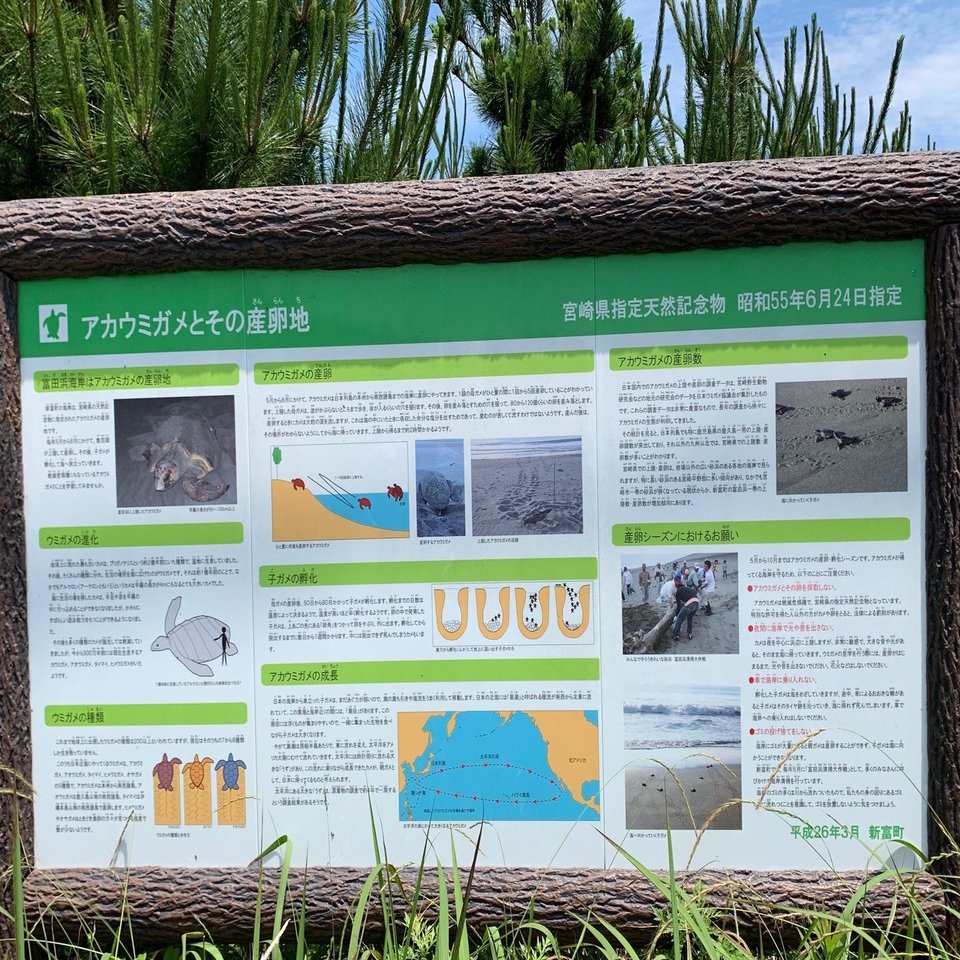 新富町拠点紹介 宮崎県第1号 地方創生で注目の チャレンジしやすい町 新富町 で多拠点生活を Address Webマガジン Note