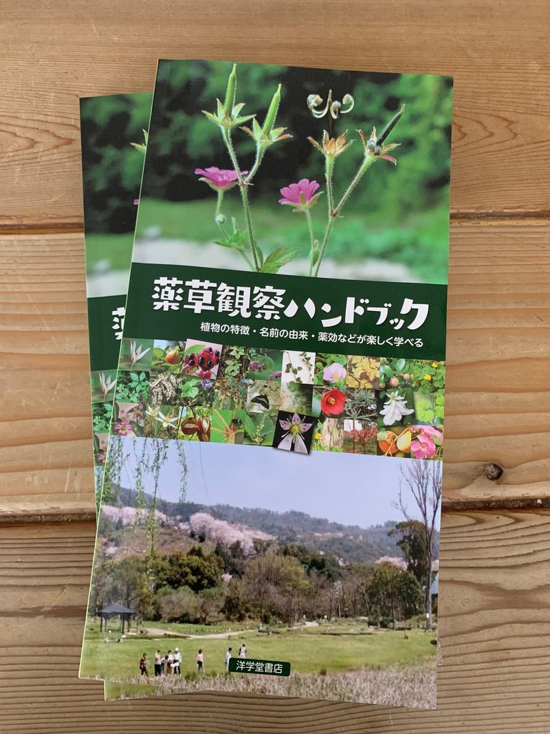 不老不死とか ならんほうがいいですよ 父のインタビューより 一言切り抜きfrom日経 By 倉成英俊