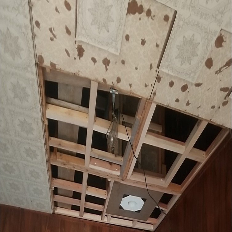 居間の天井を貼りました。｜加藤純 京津畑地域おこし協力隊