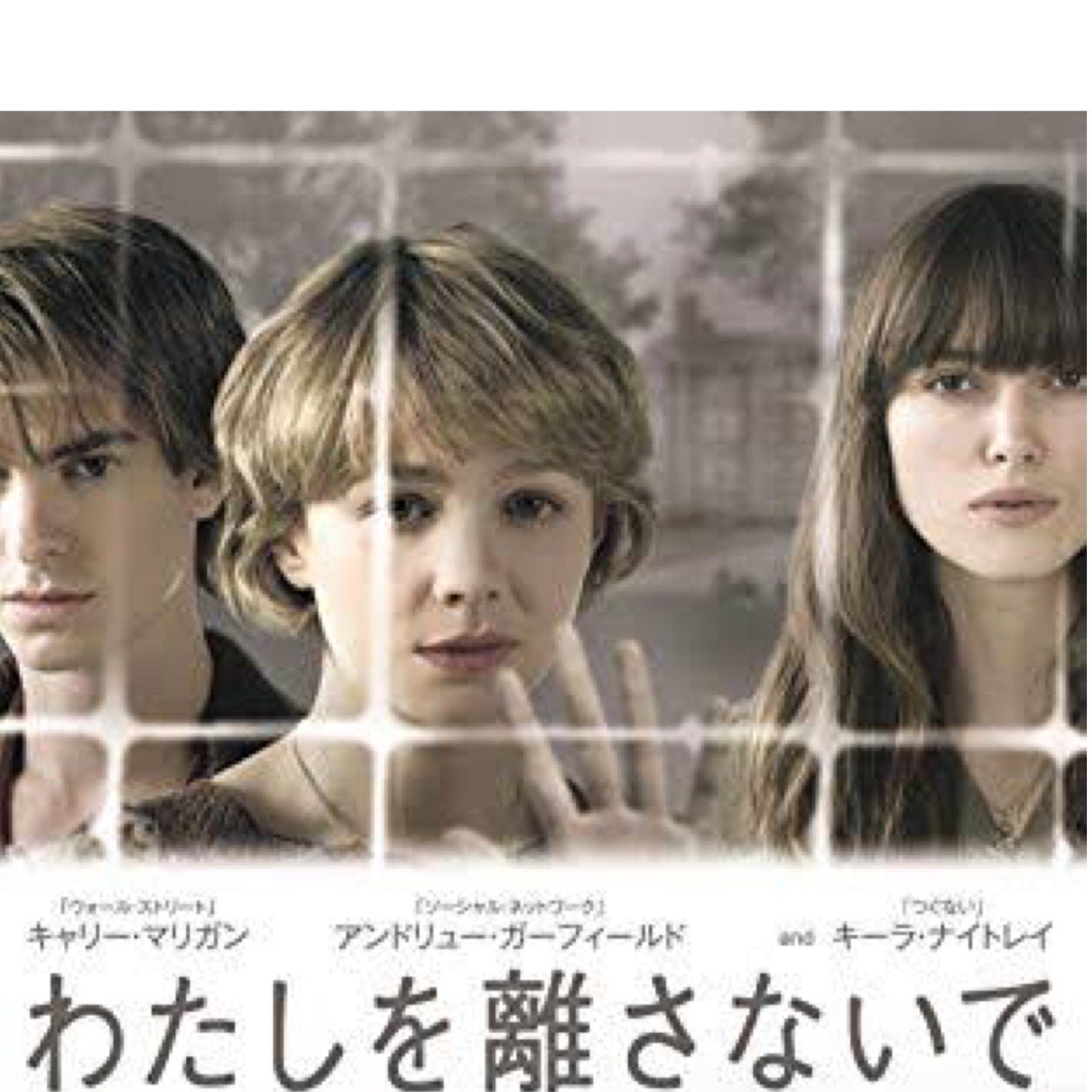 で ドラマ わたし 離さ を ない