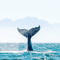 クジラのしっぽ