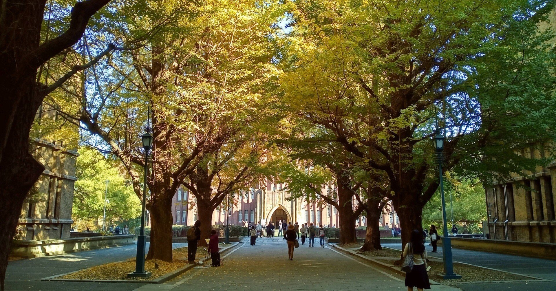 b5cff2449b8cff9c2a99135ed28773