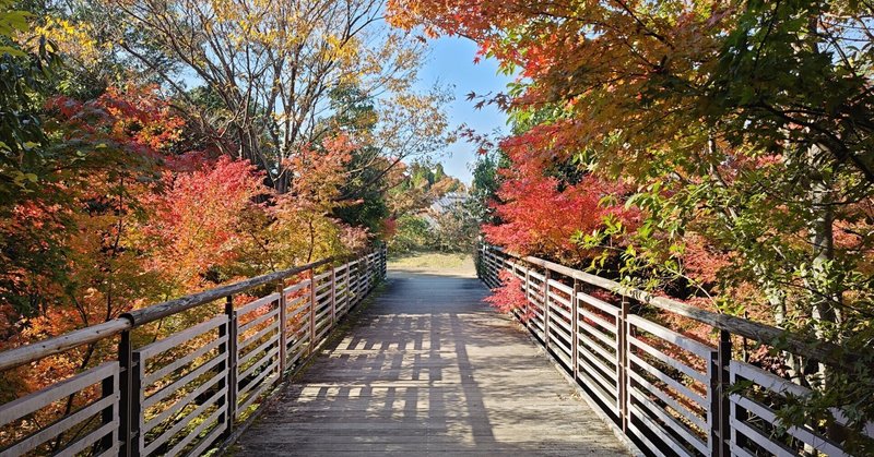 京都巡り#104 梅小路公園で紅葉散歩